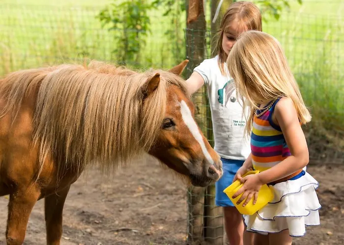 Hoevedomein Polderrust * Nieuwpoort